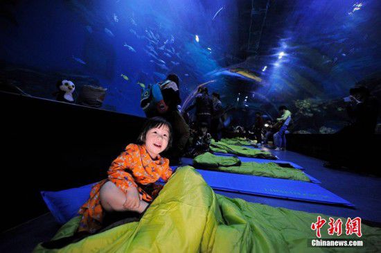 天津游客夜宿海洋館 體驗(yàn)與魚共眠（全文）