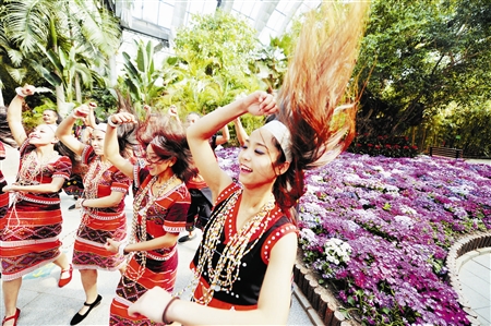 曹莊花卉旅游節(jié)開幕 根據(jù)不同節(jié)日舉辦主題活動
