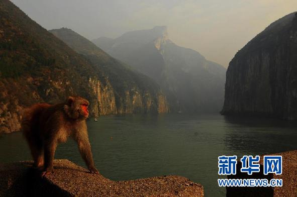 組圖：三峽瞿塘峽美景如畫