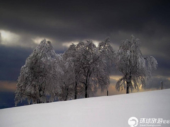 美得令人窒息的雪景(組圖)