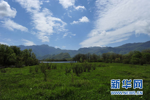 神農(nóng)架高山濕地大九湖掠影