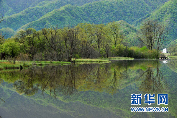 神農架高山濕地大九湖掠影