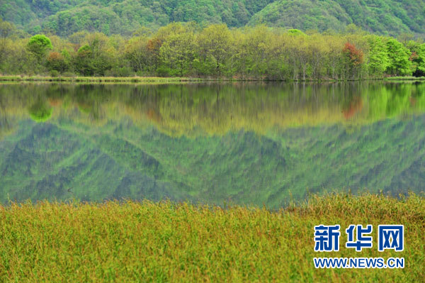 神農(nóng)架高山濕地大九湖掠影