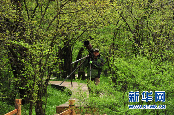 神農(nóng)架高山濕地大九湖掠影