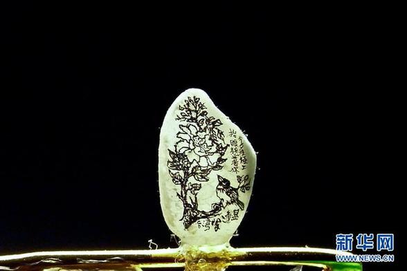 在大米粒上創(chuàng)作 微縮藝術沒有最小只有更小