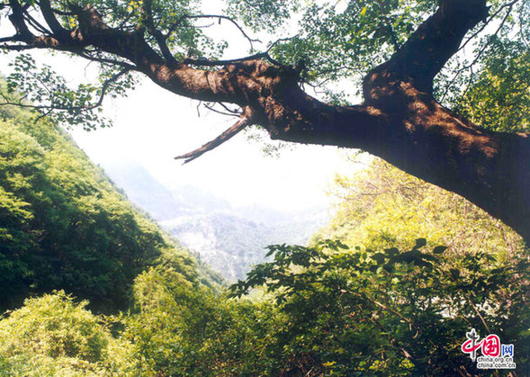 晉善晉美晉自然：用心感悟綿山美景