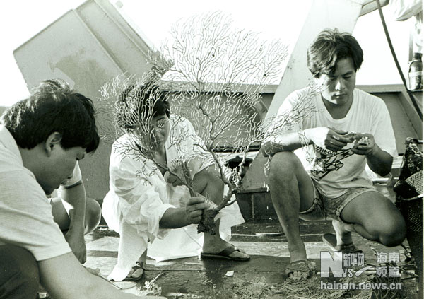 珍貴！1991年西沙科考海量歷史照