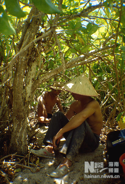 珍貴！1991年西沙科考海量歷史照