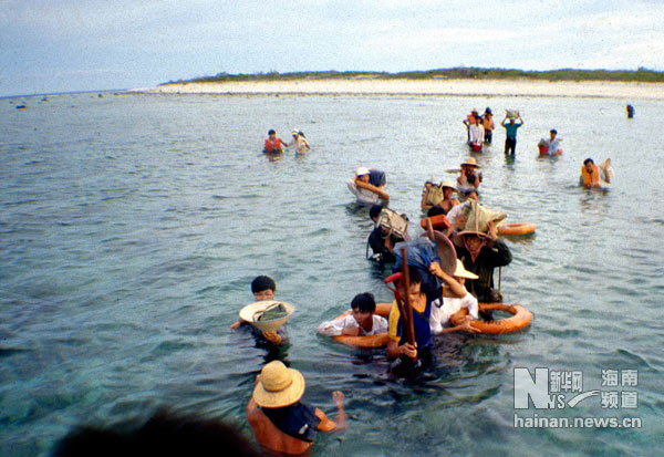 珍貴！1991年西沙科考海量歷史照