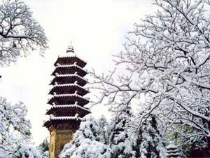 京城雪紛飛 細數(shù)十處最具京味賞雪地