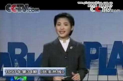 趙忠祥羅京白巖松 央視主播年輕照曝光！