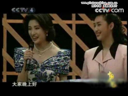 趙忠祥羅京白巖松 央視主播年輕照曝光！