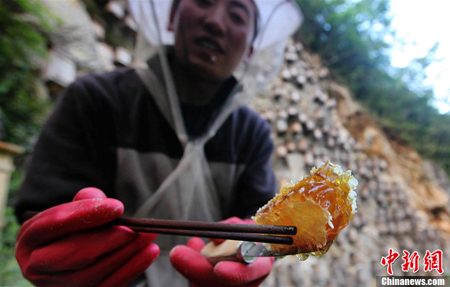 神奇！探秘奇特的神農架
