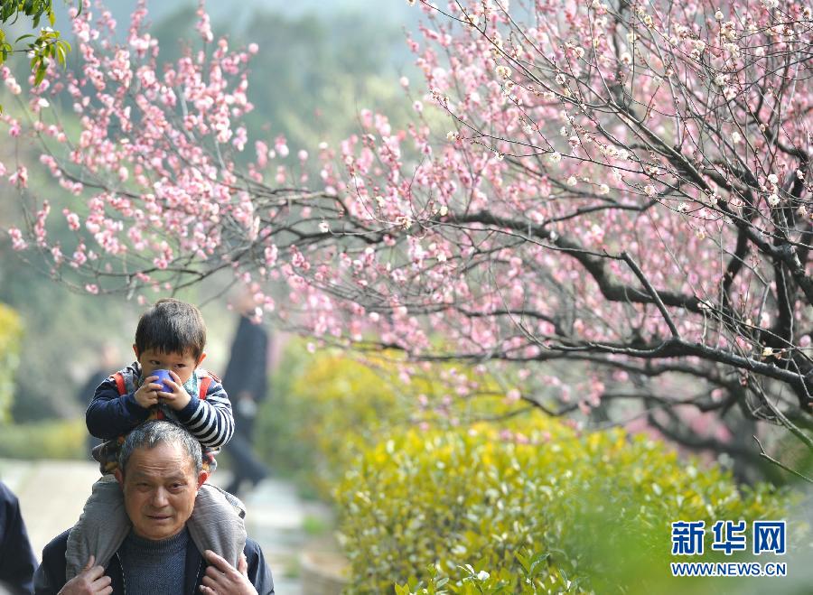 “花開意盎然，雀鳥上枝頭”：聽！春天的腳步聲