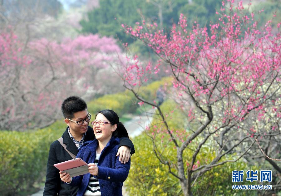 “花開意盎然，雀鳥上枝頭”：聽！春天的腳步聲