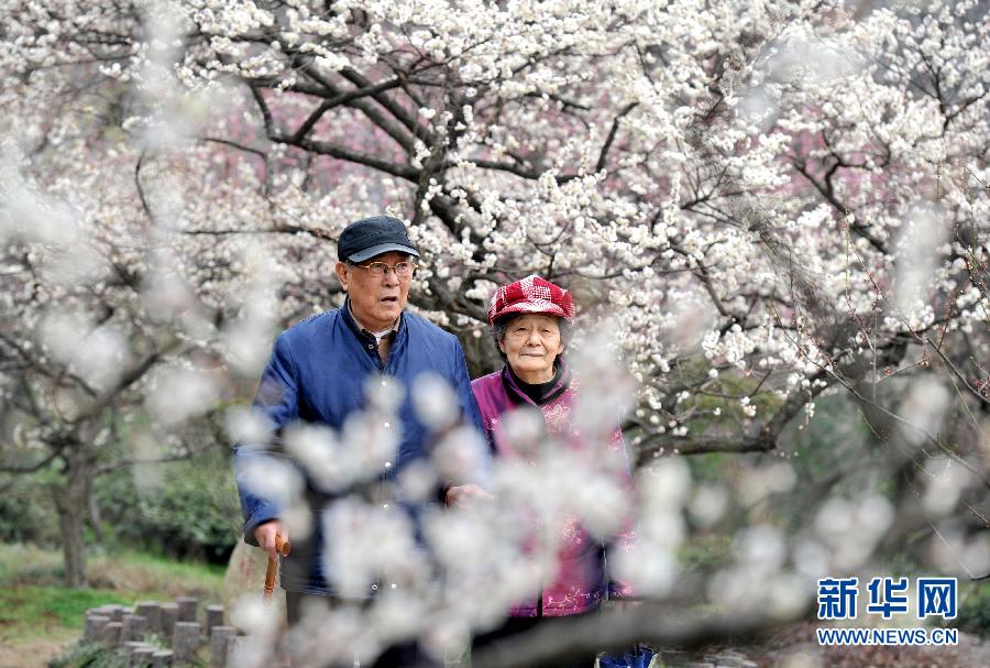 “花開意盎然，雀鳥上枝頭”：聽！春天的腳步聲