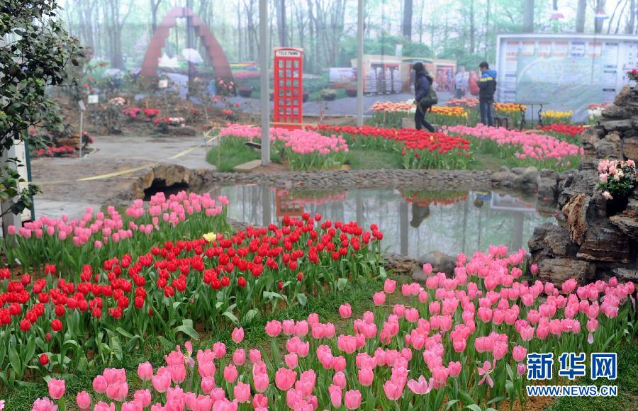 “花開意盎然，雀鳥上枝頭”：聽！春天的腳步聲