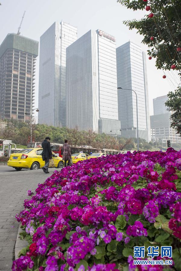 “花開意盎然，雀鳥上枝頭”：聽！春天的腳步聲