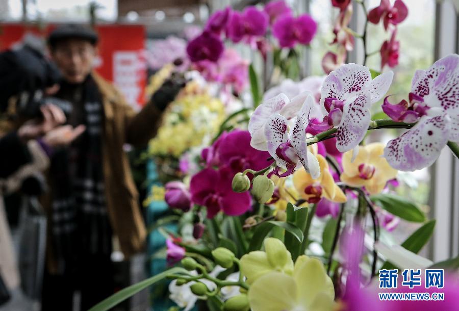 “花開意盎然，雀鳥上枝頭”：聽！春天的腳步聲