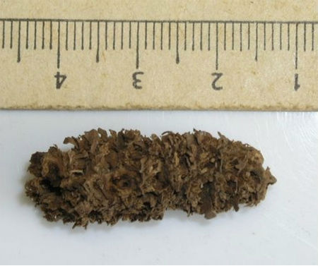 十個迄今發(fā)現的最古老物體：7000年石制面具