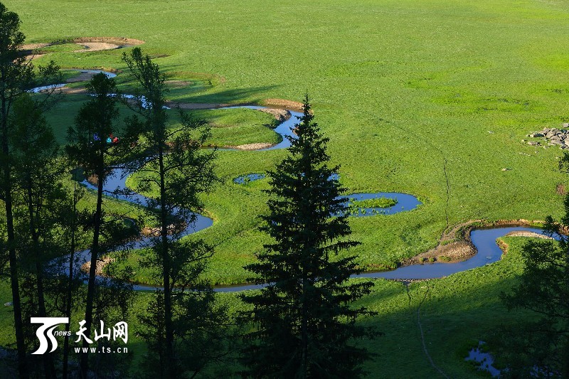 新疆哈巴河縣齊巴爾鄉(xiāng)夏牧場(chǎng)風(fēng)景如畫(huà)