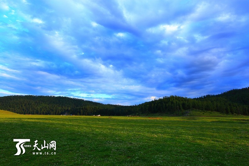 新疆哈巴河縣齊巴爾鄉(xiāng)夏牧場風(fēng)景如畫