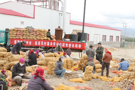 青河縣巧妙化解“用工荒”和“務(wù)工難”難題實(shí)現(xiàn)就業(yè)促增收