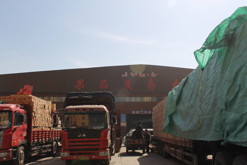 新疆九鼎農(nóng)產(chǎn)品批發(fā)交易市場(chǎng)開(kāi)業(yè)一周年