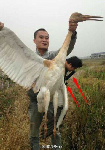 男子炫耀在西藏獵殺野生保護(hù)動(dòng)物引眾怒