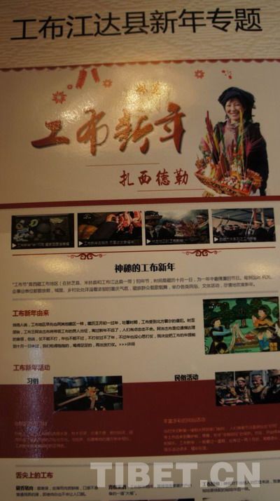 西藏74個(gè)縣級(jí)政府集體“觸網(wǎng)”