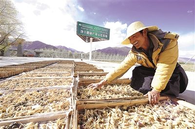 西藏日?qǐng)?bào)盤點(diǎn)2014年拉薩大事記：新面孔