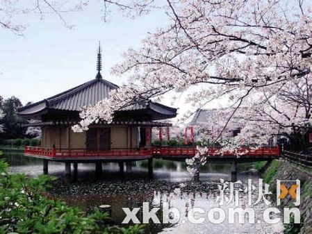 2011上班族年假大計(jì)劃　讓旅行再幸福一點(diǎn)