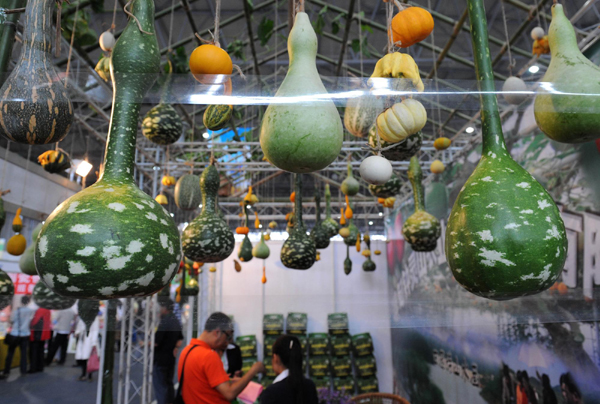 昆明舉辦泛亞國(guó)際農(nóng)業(yè)博覽會(huì) 無公害瓜果蔬菜受青睞