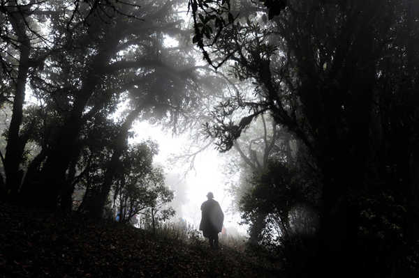 影像在天地 至樂寄山林：體驗中國野生動物攝影訓(xùn)練營