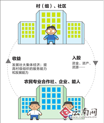 云南省1468個村（組）開展強(qiáng)基惠農(nóng)“合作股份”工作