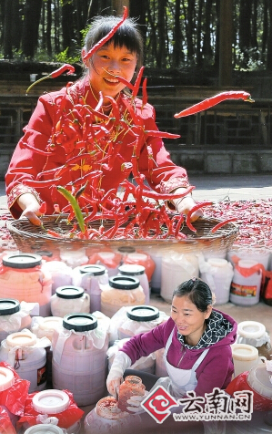 云南省1468個村（組）開展強(qiáng)基惠農(nóng)“合作股份”工作