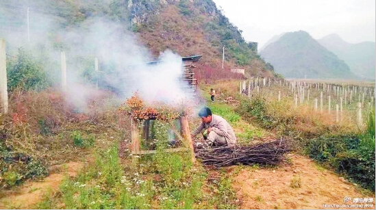 云南女孩患地中海貧血 父親自學(xué)本草綱目煙熏治療