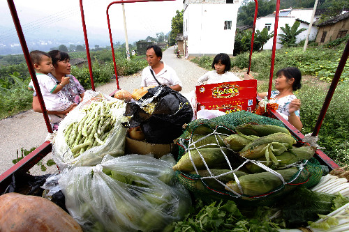 云南巧家農(nóng)民郭從順開流動(dòng)蔬菜車進(jìn)村方便農(nóng)村群眾