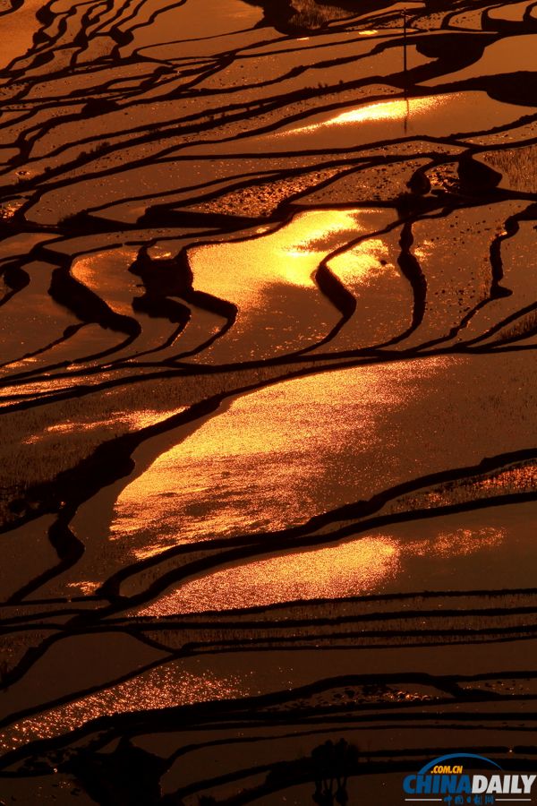 云南元陽(yáng)自駕攝影之旅：哈尼梯田三月春夢(mèng)幻