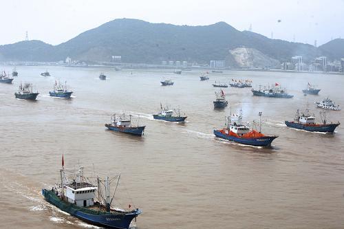 東海漁船開捕海蝦