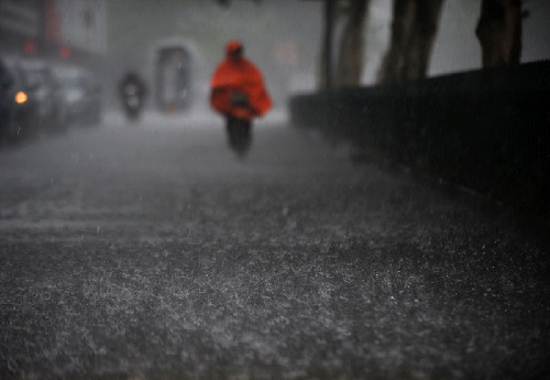 超強臺風(fēng)“梅花”將給浙江帶來強風(fēng)暴雨
