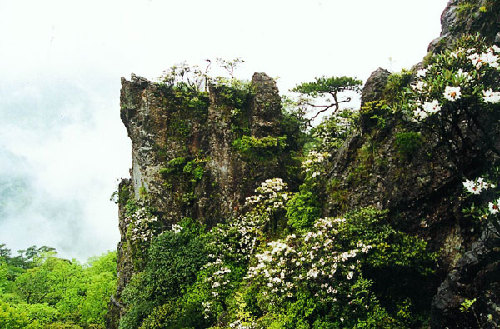 麗水：山清水秀靈毓地
