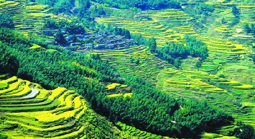 麗水：山清水秀靈毓地