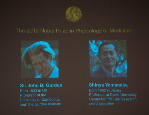 英、日科學(xué)家分享2012年諾貝爾生理學(xué)或醫(yī)學(xué)獎(jiǎng)