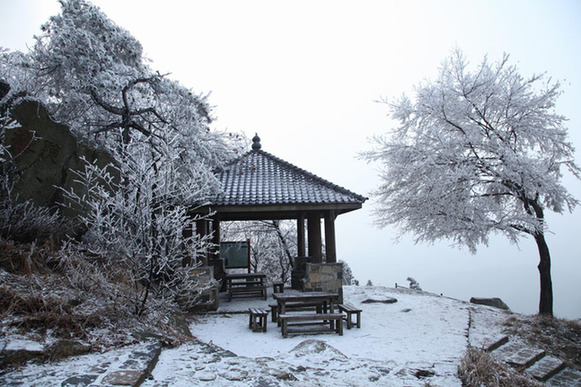 莫干山現(xiàn)霧凇美景