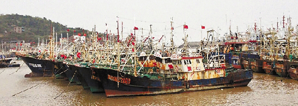 3月伏休 東海漁場面臨無魚絕境