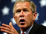 Bush has a word for it, even if the dictionary doesn't