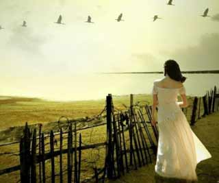 Loneliness is a health killer<BR>孤獨(dú)是健康的一大殺手