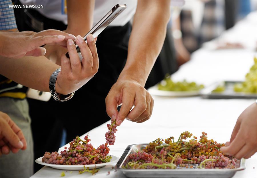 Grape festival opens at Turpan in NW China's Xinjiang