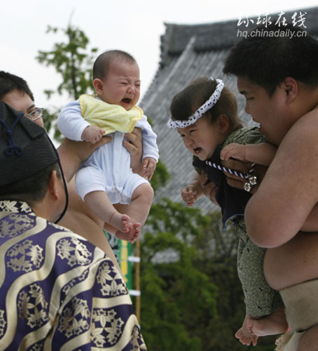 日本嬰兒大哭比賽